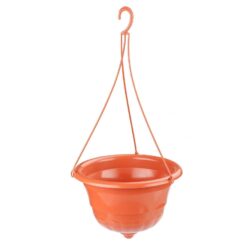 tsclientZ2020 05???? 9.07 9.07Bilder7417_1.jpg